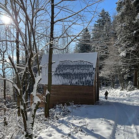 Chatka Pod Lysou Ostravice Exteriör bild