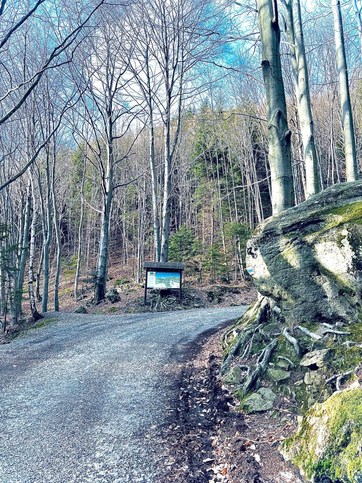 Chatka Pod Lysou Ostravice Exteriör bild