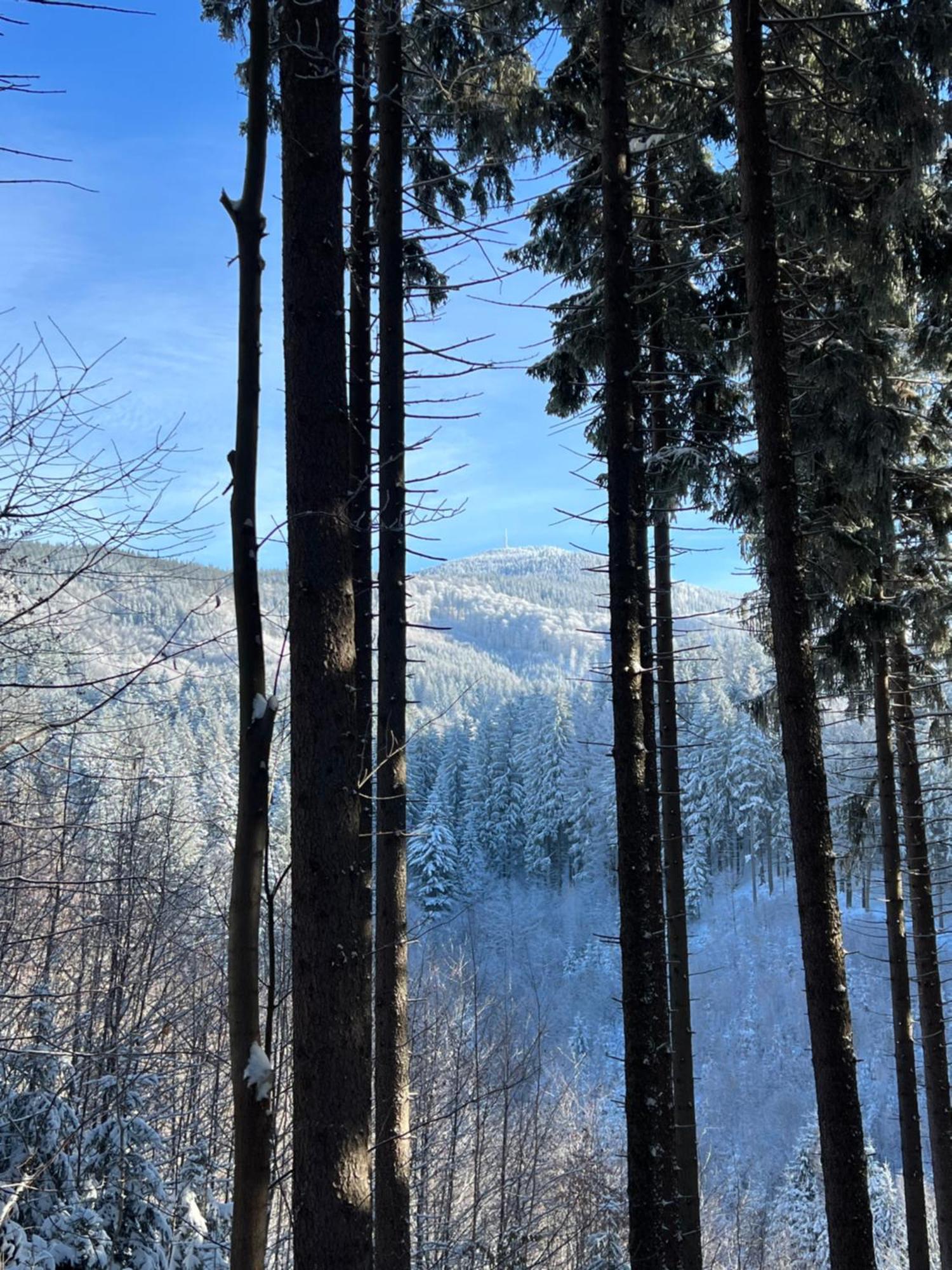 Chatka Pod Lysou Ostravice Exteriör bild